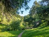 Sunol 001